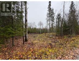 Pt E 1 2 Hillcrest Road, East Ferris, ON P0H1B0 Photo 5