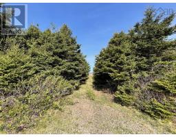 Kitchen - 99 Pleasant Bay Loop, Pleasant Bay, NS B0E1H0 Photo 3