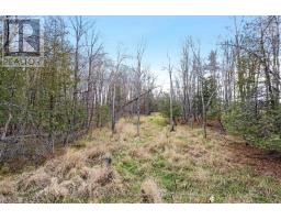 Pt 1 00 Herron Mills Road, Lanark Highlands, ON K0G1K0 Photo 5