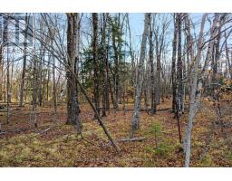 Pt 1 00 Herron Mills Road, Lanark Highlands, ON K0G1K0 Photo 2