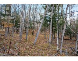 Pt 1 00 Herron Mills Road, Lanark Highlands, ON K0G1K0 Photo 3