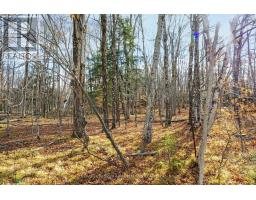 Pt 2 00 Herron Mills Road, Lanark Highlands, ON K0G1K0 Photo 4