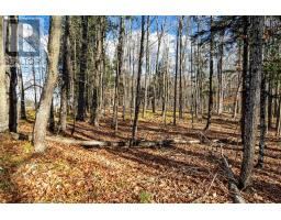 Pt 3 00 Herron Mills Road, Lanark Highlands, ON K0G1K0 Photo 3