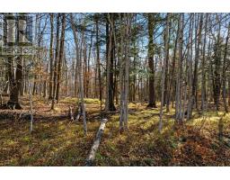 Pt 3 00 Herron Mills Road, Lanark Highlands, ON K0G1K0 Photo 4