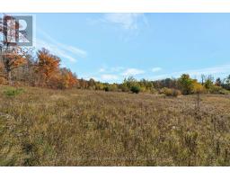 0 Hwy 62 Highway, Madoc, ON K0K2K0 Photo 2