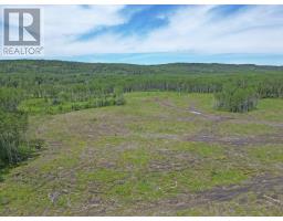 Part 3 Larson Road, Neebing, ON P7L0A4 Photo 4