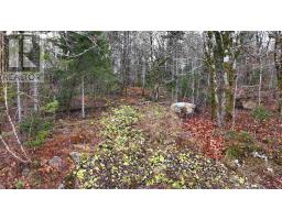 Lot 5 Nathan Croft Road, Camperdown, NS B4V6T9 Photo 5