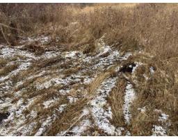 242 21252 Twp Road 540, Rural Strathcona County, AB T8G2A1 Photo 2