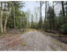 0 Bear Cave Road, Muskoka Lakes, ON P0C1J0 Photo 3