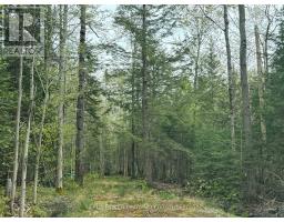 0 Bear Cave Road, Muskoka Lakes, ON P0C1J0 Photo 2