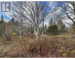 2936 Highway 3, Barrington, NS B0W1E0 Photo 2