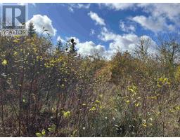 2936 Highway 3, Barrington, NS B0W1E0 Photo 3