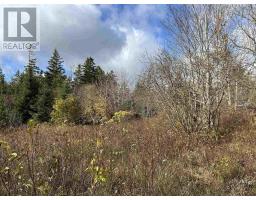 2936 Highway 3, Barrington, NS B0W1E0 Photo 4