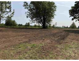 3306 Highway 201, Centrelea, NS B0S1C0 Photo 4