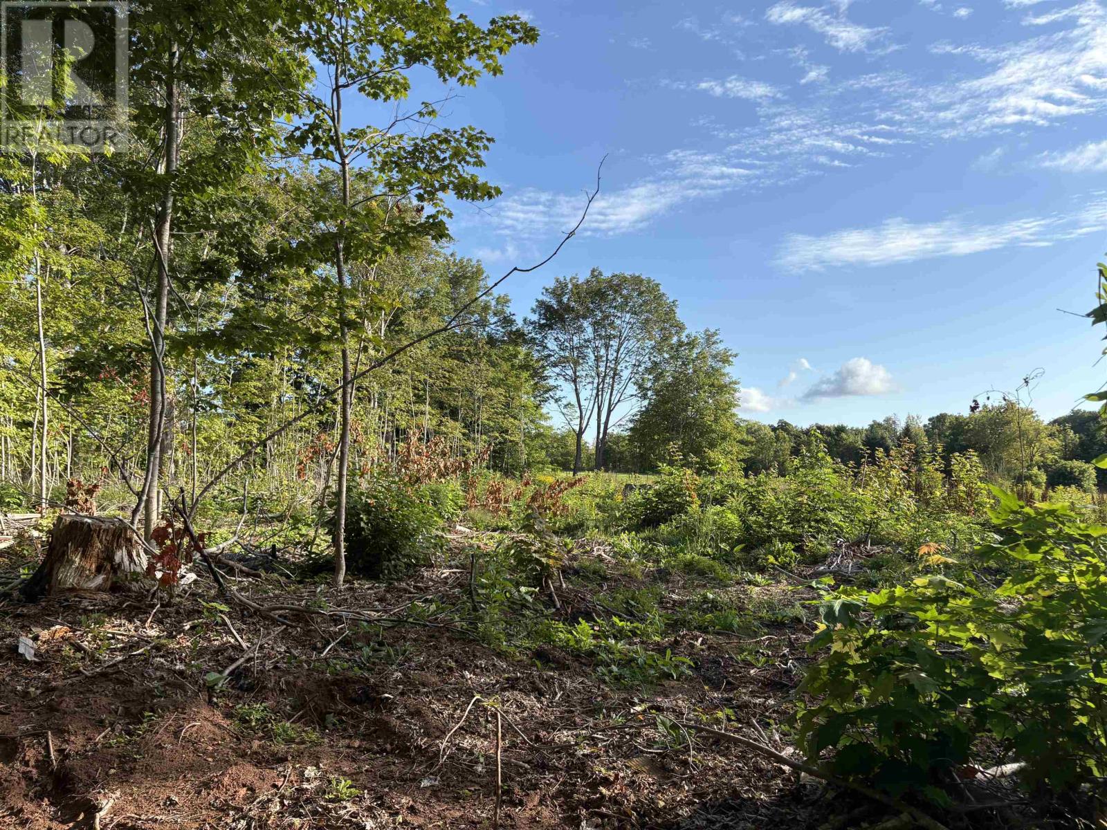 Lot 24 1 Lorabelle Court