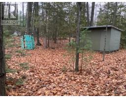 46 Oakwood Avenue Nw, Tiny, ON L9M0J2 Photo 3