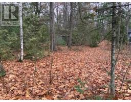 46 Oakwood Avenue Nw, Tiny, ON L9M0J2 Photo 5