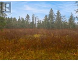 Lot Route 336, Cable Head West, PE C0A2A0 Photo 3