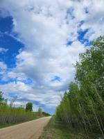 2 Plan 58928 Emerson Franklin Mun Road, Rosa, MB R0C0A0 Photo 5