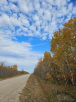 2 Plan 58928 Emerson Franklin Mun Road, Rosa, MB R0C0A0 Photo 2