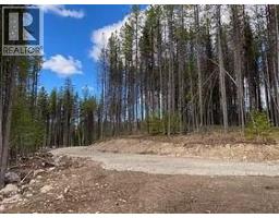 8930 33 Highway Unit Lot 10, Beaverdell, BC V1P1P4 Photo 2