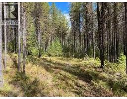 8930 33 Highway Unit Lot 10, Beaverdell, BC V1P1P4 Photo 5