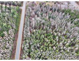 0 Cabot Trail Rd, North East Margaree, NS B0E2H0 Photo 3