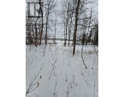 Kitchen - 1666 Balkwill Line, Severn, ON L0K1E0 Photo 3