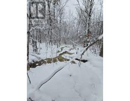 Bedroom - 1666 Balkwill Line, Severn, ON L0K1E0 Photo 5