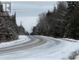 Ptlt 37 Swan Lake Lane, Northern Bruce Peninsula, ON N0H1W0 Photo 4