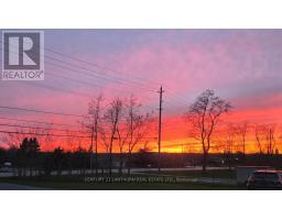 20846 Loyalist Parkway, Prince Edward County, ON K0K1T0 Photo 5