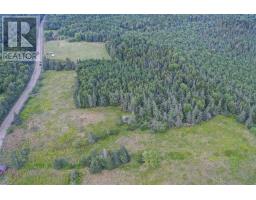 Lot Lake George Road, Lake George, NS B0W3E0 Photo 4