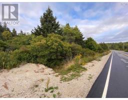 308 Highway, Morris Island, NS B0W3M0 Photo 5