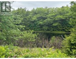 A A Highway 10, Cookville, NS B0R1E0 Photo 4