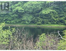 A A Highway 10, Cookville, NS B0R1E0 Photo 5