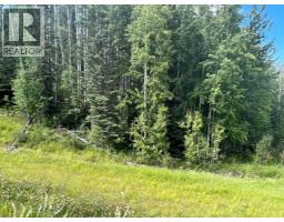 43 River Ridge Estates, Rural Yellowhead County, AB T7E3A6 Photo 5