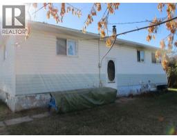 Primary Bedroom - 220 2nd Avenue Sw, Manning, AB T0H2M0 Photo 3