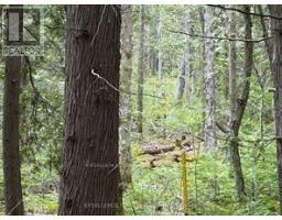 00 Kenyon Acres N, North Glengarry, ON K0C1A0 Photo 3