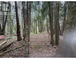 00 Kenyon Acres N, North Glengarry, ON K0C1A0 Photo 4