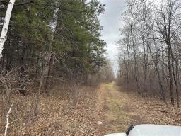 0 39 Road E, Beaconia, MB R0E0B0 Photo 4