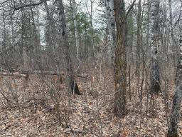 0 39 Road E, Beaconia, MB R0E0B0 Photo 5