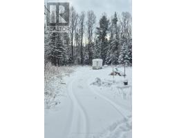 1043 Highway 533, Mattawan, ON P0H1V0 Photo 5