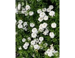 Bedroom - 4 5838 Blythwood Rd, Sooke, BC V9Z0G2 Photo 3