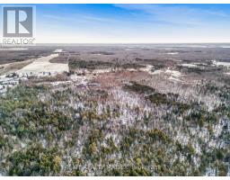 2975 Concession Rd 3 Road, Alfred And Plantagenet, ON K0B1L0 Photo 4