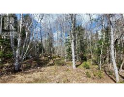 Lot 4 Beaver Ln, Grantville, NS B0E1J0 Photo 4