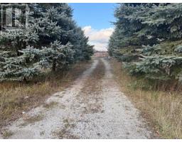 231039 Trafalgar Road, East Garafraxa, ON L9W7B8 Photo 4