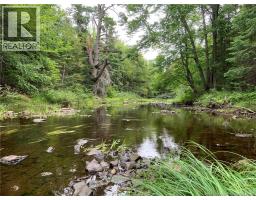 11 2 Acres South Black River, Black River Bridge, NB E1N5S8 Photo 2