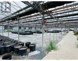 4390 South Service Road, Lincoln, ON L0R1B1 Photo 5