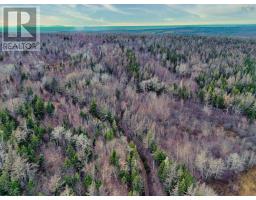 Maceachern Road, Judique North, NS B0E1P0 Photo 4