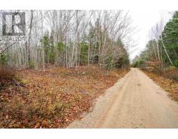 Old North Range Road, Ashmore, NS B0W3T0 Photo 4